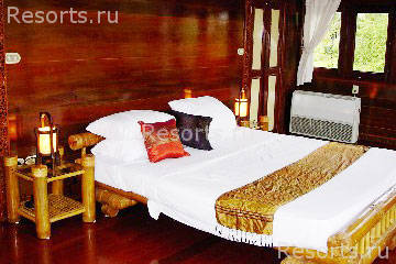 Coconut Tropicana 3